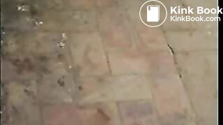 Shitting On The Roof