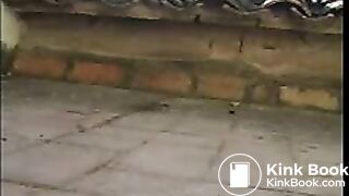 Shitting On The Roof