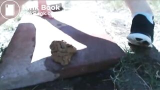 Backyard pee and poop for the neighbors to see