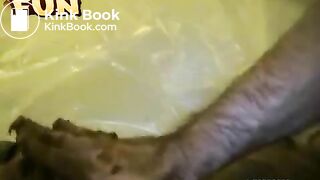 Asian slut HoneyBee eating a shitload of scat