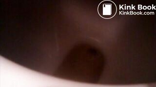 wetnastyshitintoilet