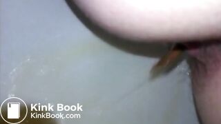 wetnastyshitintoilet