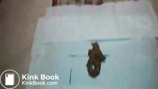 Ebony and Latina Scat And Feet