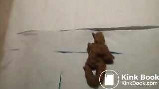 Ebony and Latina Scat And Feet