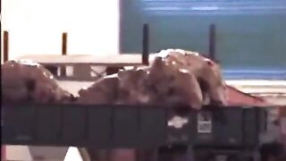 Woman Shits on a Model Train