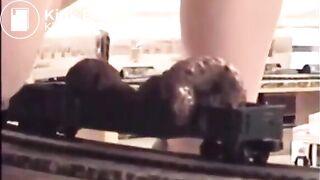Woman Shits on a Model Train