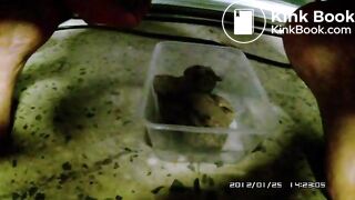 One more for the freezer