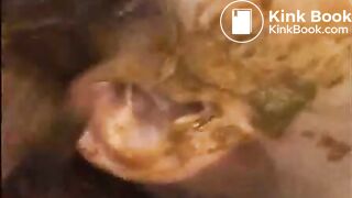 Scat
