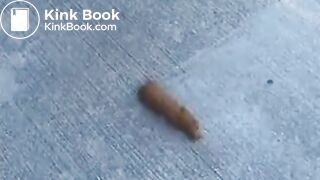 Kamryn pissing and pooping on a concrete bench - Pooping, pissing girls and scat porn videos PooPeeGirlsCommp4