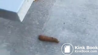 Kamryn pissing and pooping on a concrete bench - Pooping, pissing girls and scat porn videos PooPeeGirlsCommp4