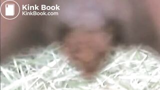 Amateur Dropping Turd In The Grass