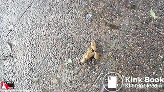 Japanese Student Takes Big Shit