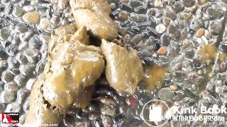 Japanese Student Takes Big Shit