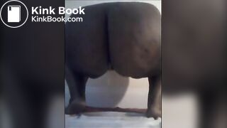 Yellow and Brown (first time)