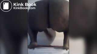 Yellow and Brown (first time)