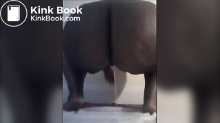 Yellow and Brown (first time)