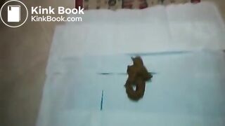 Very Black Nigger From Senegal Pooping For rich Wh