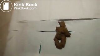 Very Black Nigger From Senegal Pooping For rich Wh