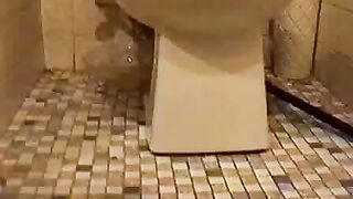 Joanne Paradigm Scat