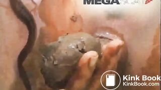 MFX Hungry bitches - THE SEQUEL