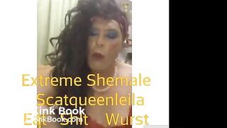 extreme shemale eat shit wurst - tranny scat friends
