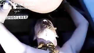 I Wanna Be - I Wanna Be Delilah's Toilet -