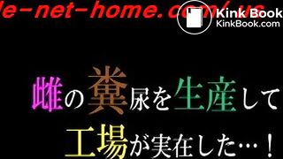 雌糞生産工場
