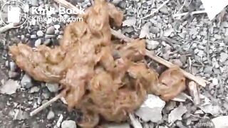 Secretly pooping in public