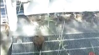 Girl pooped her panties in front of a stranger