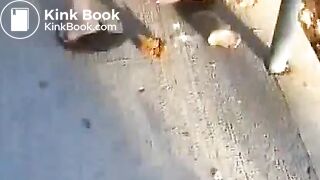 Hot blonde taking a shit outside in public