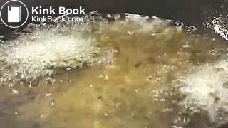 Scat Fries _ Videos _ Scat Magical Mystery Tour