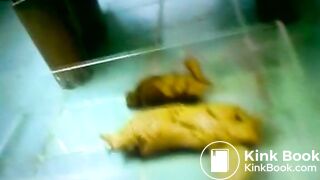 Nasty Mother Plays With Her Scat