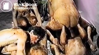Extreme German Fetish Orgy