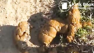 Desperate pretty Japanese girl pissing and pooping outdoor while sick dude filming