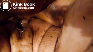 Mr Fog & Elle And Friend - 10