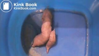 871769_0C6Nmf_81908_ORIGavi