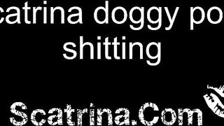Scatrina doggy style shitting