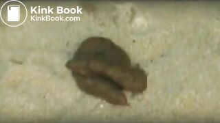 Girl Pooping On Ibiza Beach