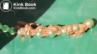 1_Dirty Anal Play in the Gardenflv