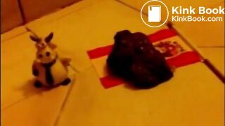 Girl shitting on flags