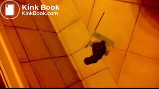 Girl shitting on flags