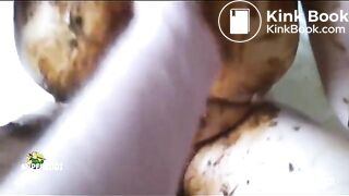 Bitch Loves Eating Shit