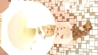 All Over Toilet And Floor