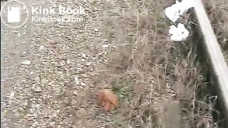 Shitting and pissing on a train track