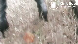 Shitting and pissing on a train track