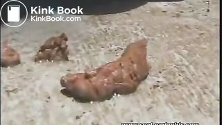 56_pooping_on_latinasflv