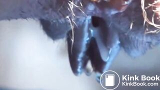 i love dirty coupleavi