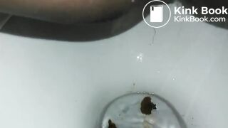 Toilet poop