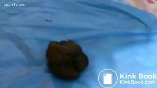 pregnant kopro scat 480mp4