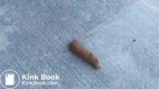 Cutie Camryn Pees and Poops on a Park Bench